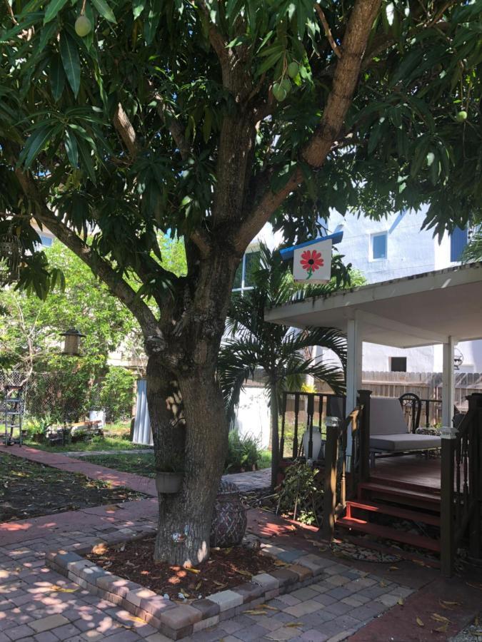 Cozy Room In The Heart Of Little Havana Miami Exterior photo
